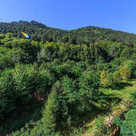 Pine Ridge Terrace - Tampa Gardens