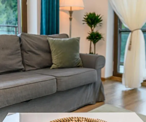 Pine Ridge Terrace - Tampa Gardens Apartment Brasov